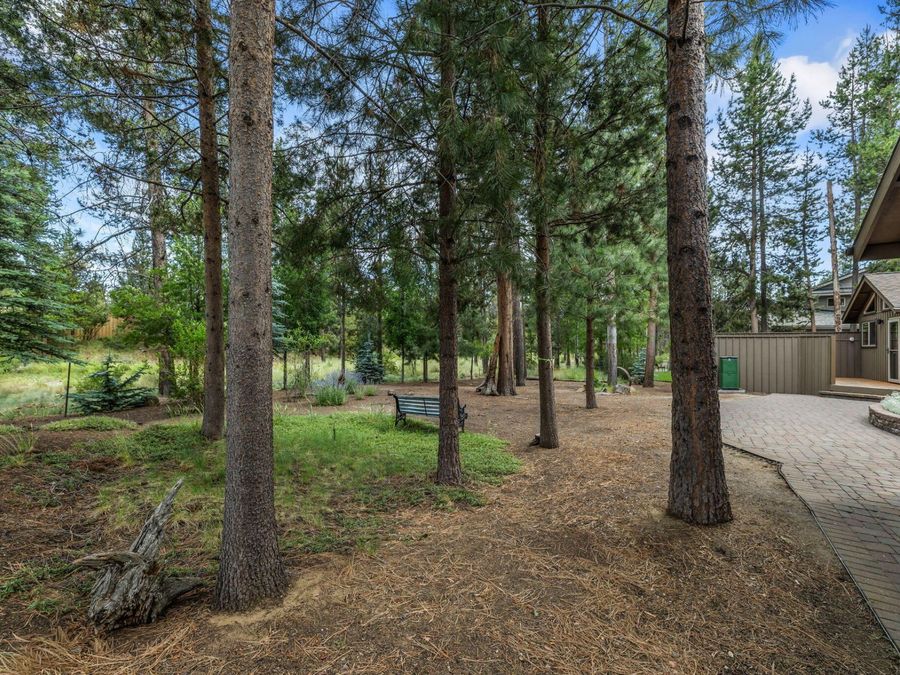 Property Image 54