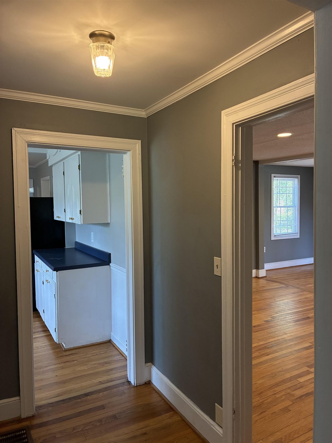 1302 Saville St. Photo 18