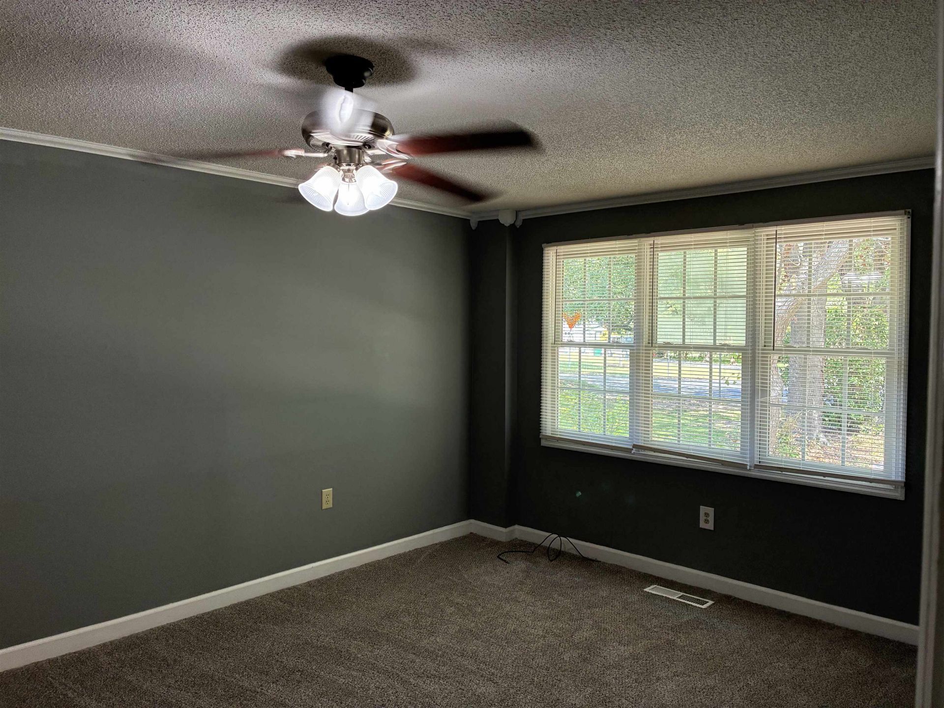 1302 Saville St. Photo 32
