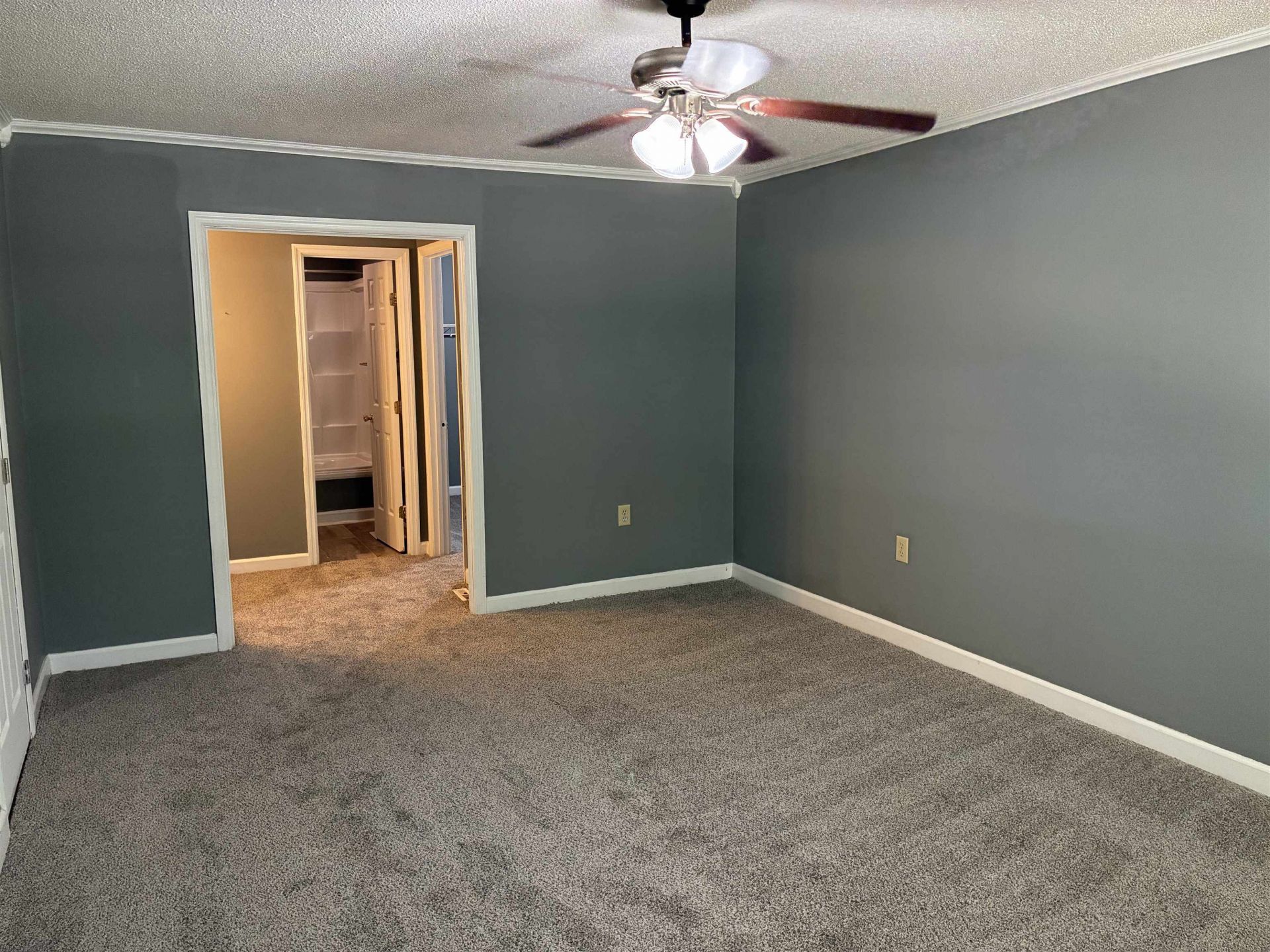 1302 Saville St. Photo 34