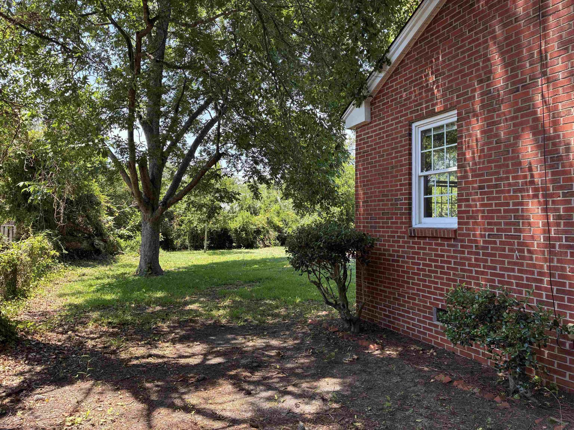 1302 Saville St. Photo 5