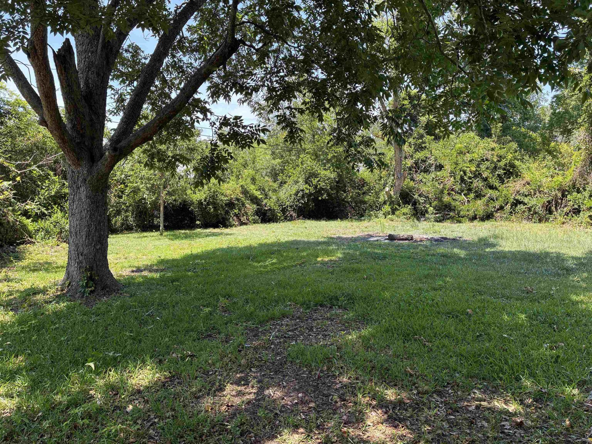 1302 Saville St. Photo 6