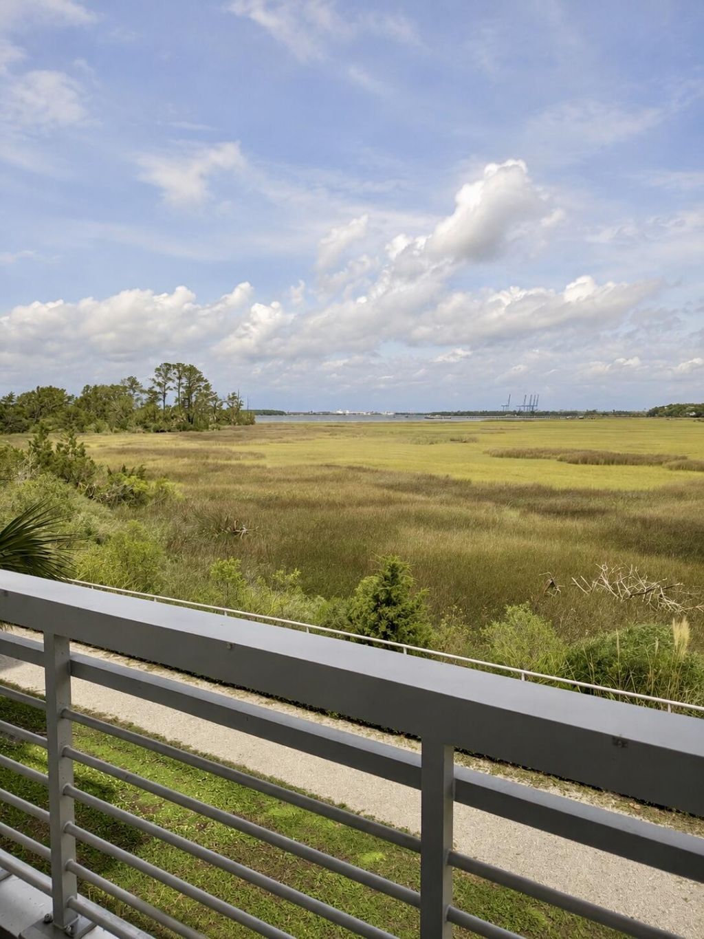 119 Cooper River Drive Photo 11
