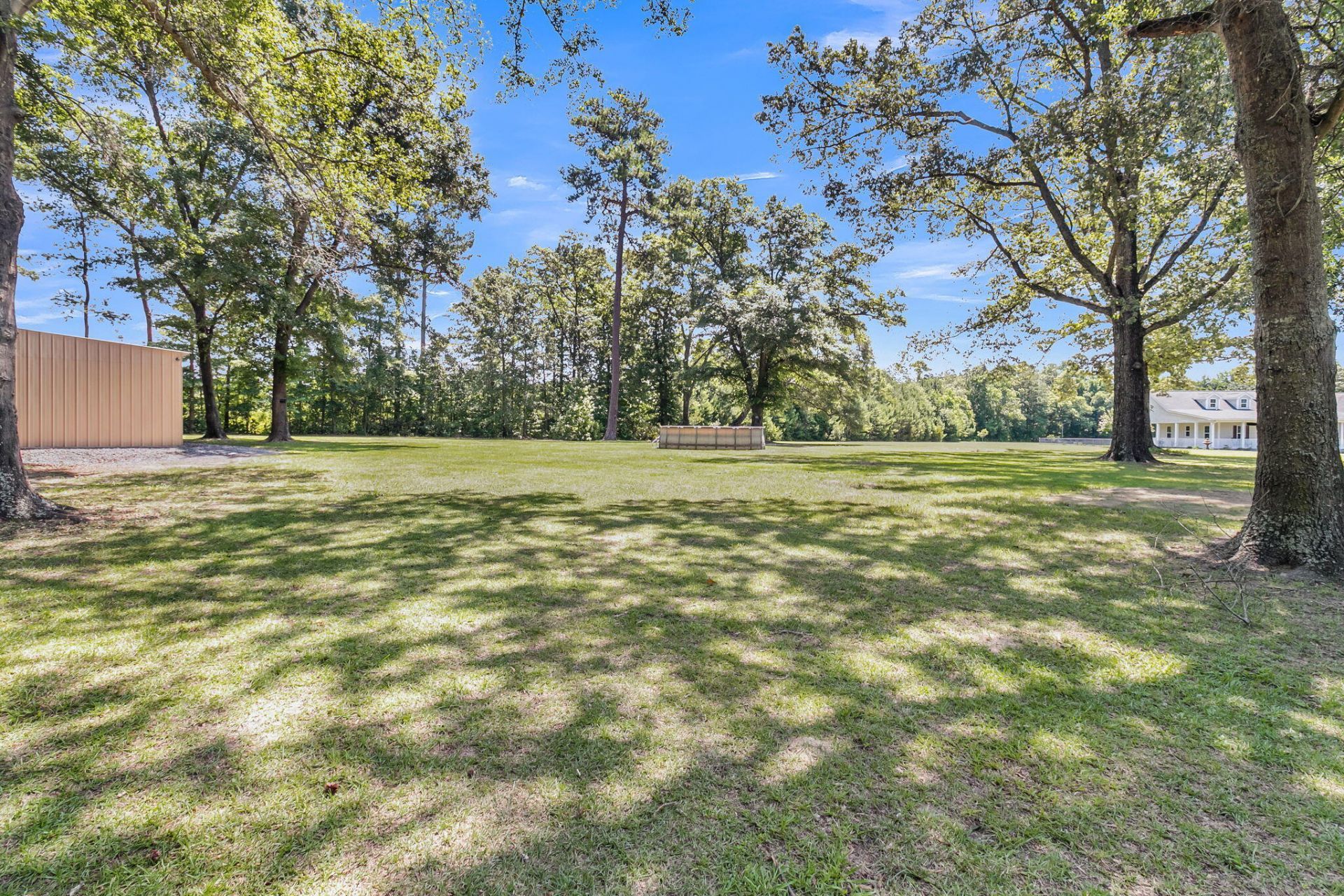 222 Buckeye Lane Photo 54