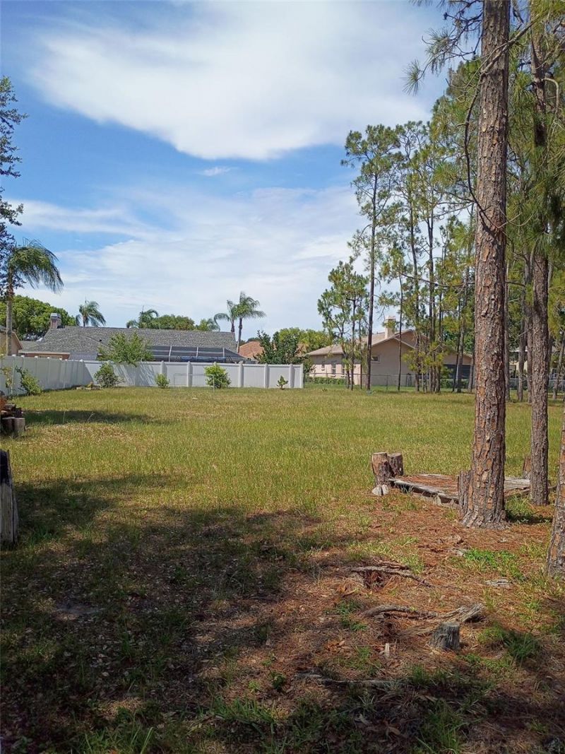 5142 La Plata Drive , New Port Richey, FL 34655 Photo