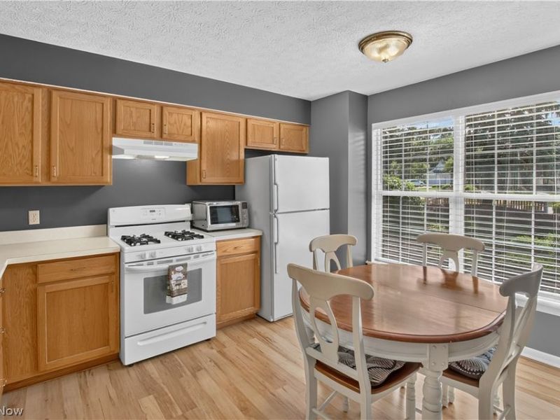1139 Lake Meadow Lane, Brunswick, OH 44212 Photo 10
