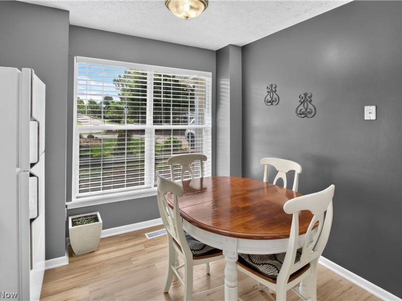 1139 Lake Meadow Lane, Brunswick, OH 44212 Photo 11