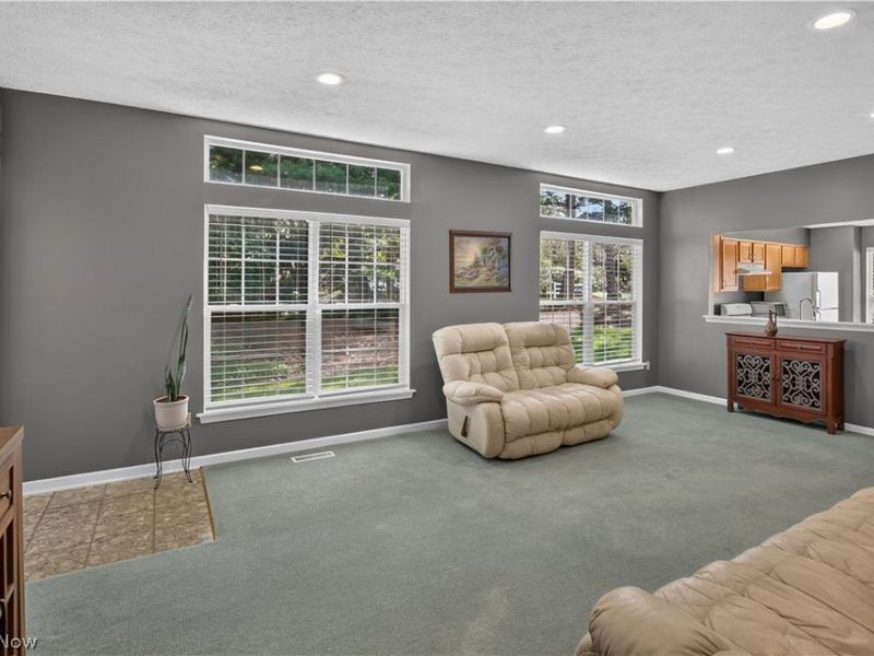 1139 Lake Meadow Lane, Brunswick, OH 44212 Photo 14