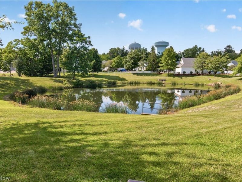 1139 Lake Meadow Lane, Brunswick, OH 44212 Photo 38