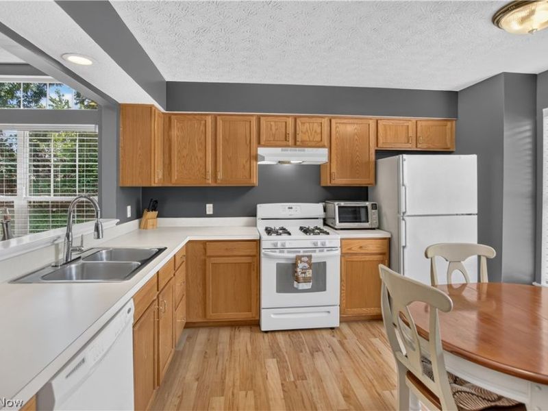 1139 Lake Meadow Lane, Brunswick, OH 44212 Photo 4