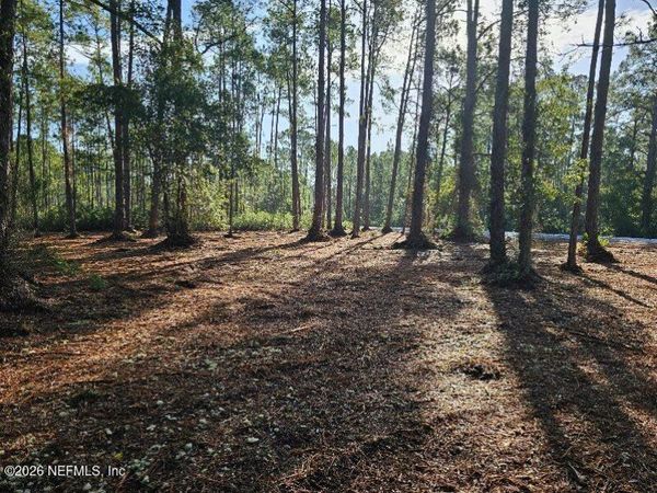 211 GEORGETOWN DENVER Road, Georgetown, FL 32139