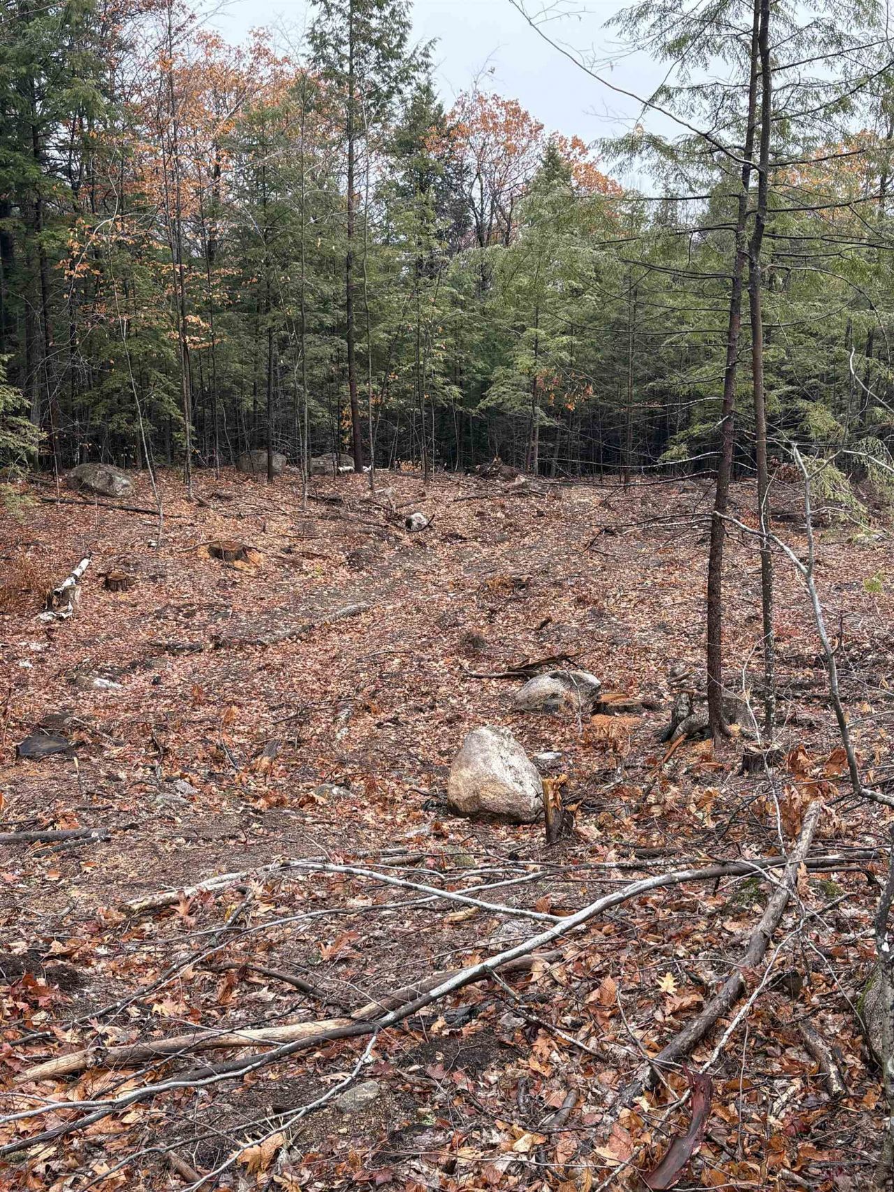 7 Sugarloaf Drive, Lot #8, Ossipee, NH 03814 Main Photo