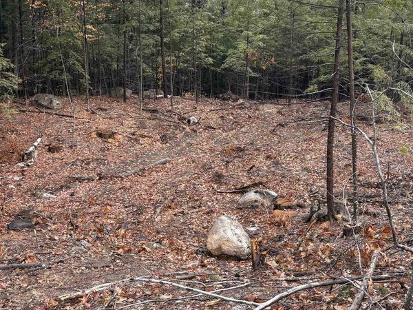7 Sugarloaf Drive, Unit 8, Ossipee, NH 03814