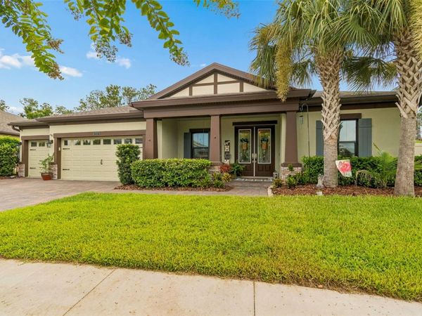 21882 BUTTERFLY KISS DRIVE , LAND O LAKES, FL 34637