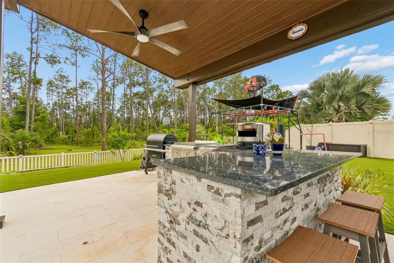 21882 Butterfly Kiss Drive, Land O Lakes, FL 34637 Photo