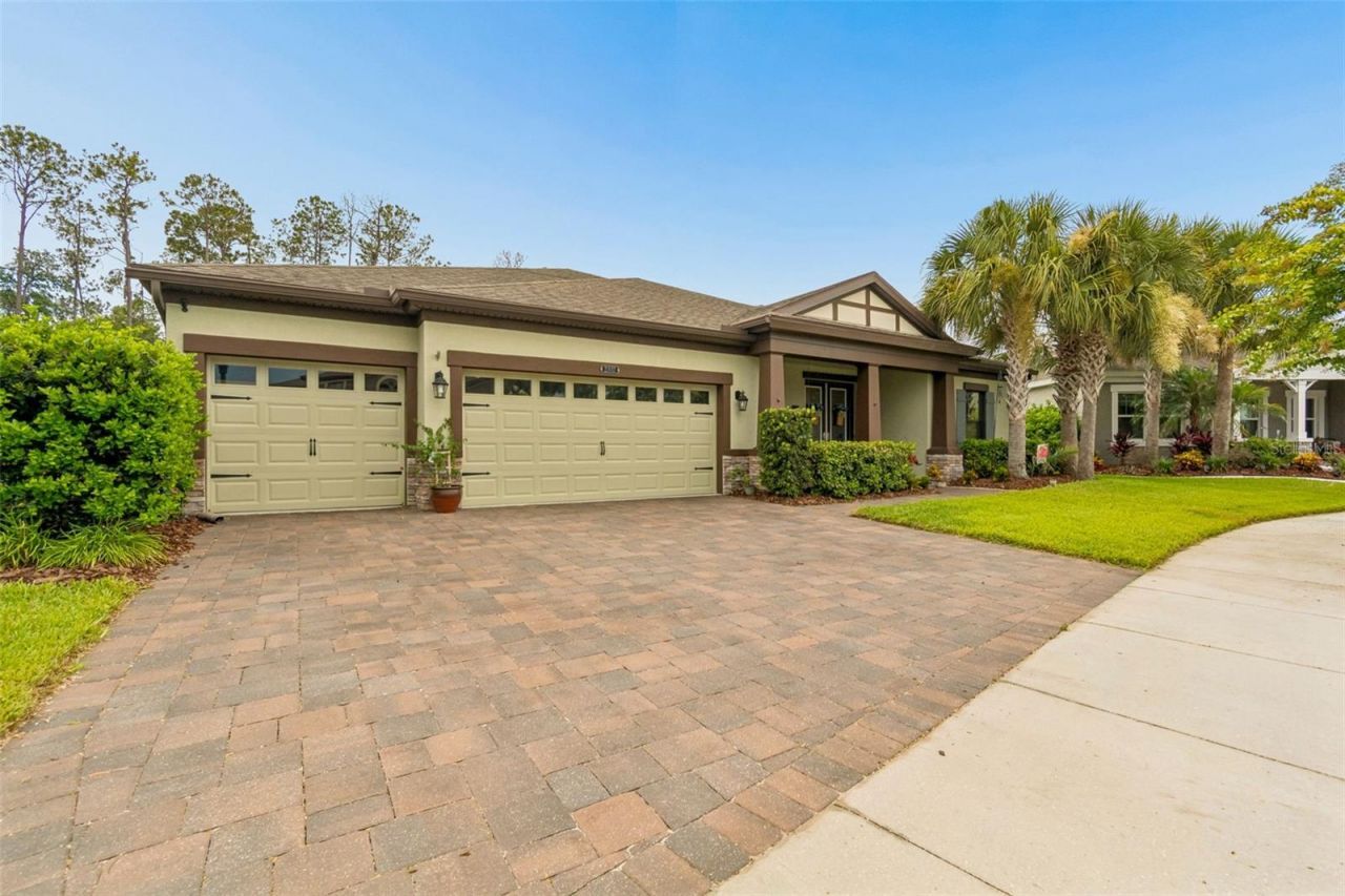 21882 Butterfly Kiss Drive, Land O Lakes, FL 34637 Photo