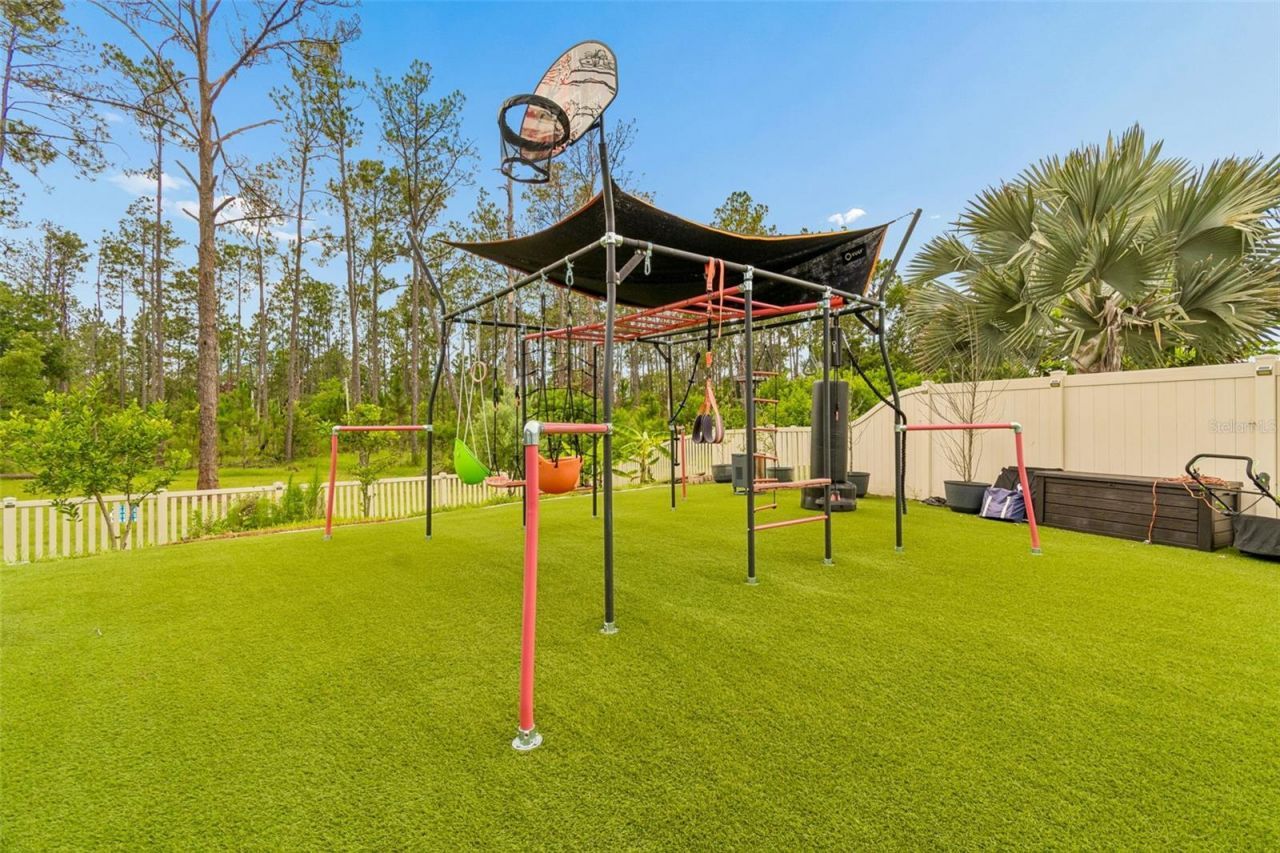 21882 Butterfly Kiss Drive, Land O Lakes, FL 34637 Photo