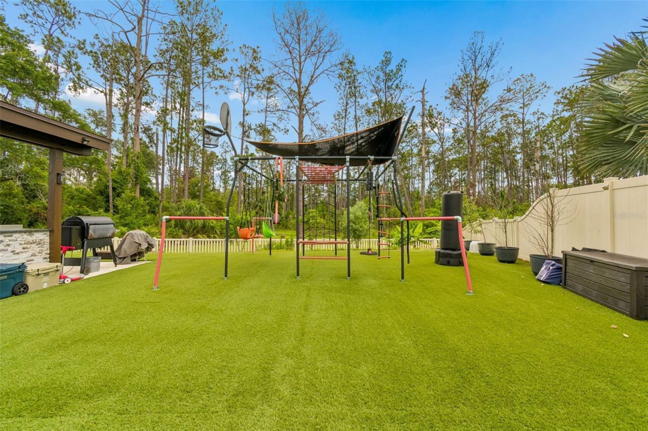 21882 Butterfly Kiss Drive, Land O Lakes, FL 34637 Photo