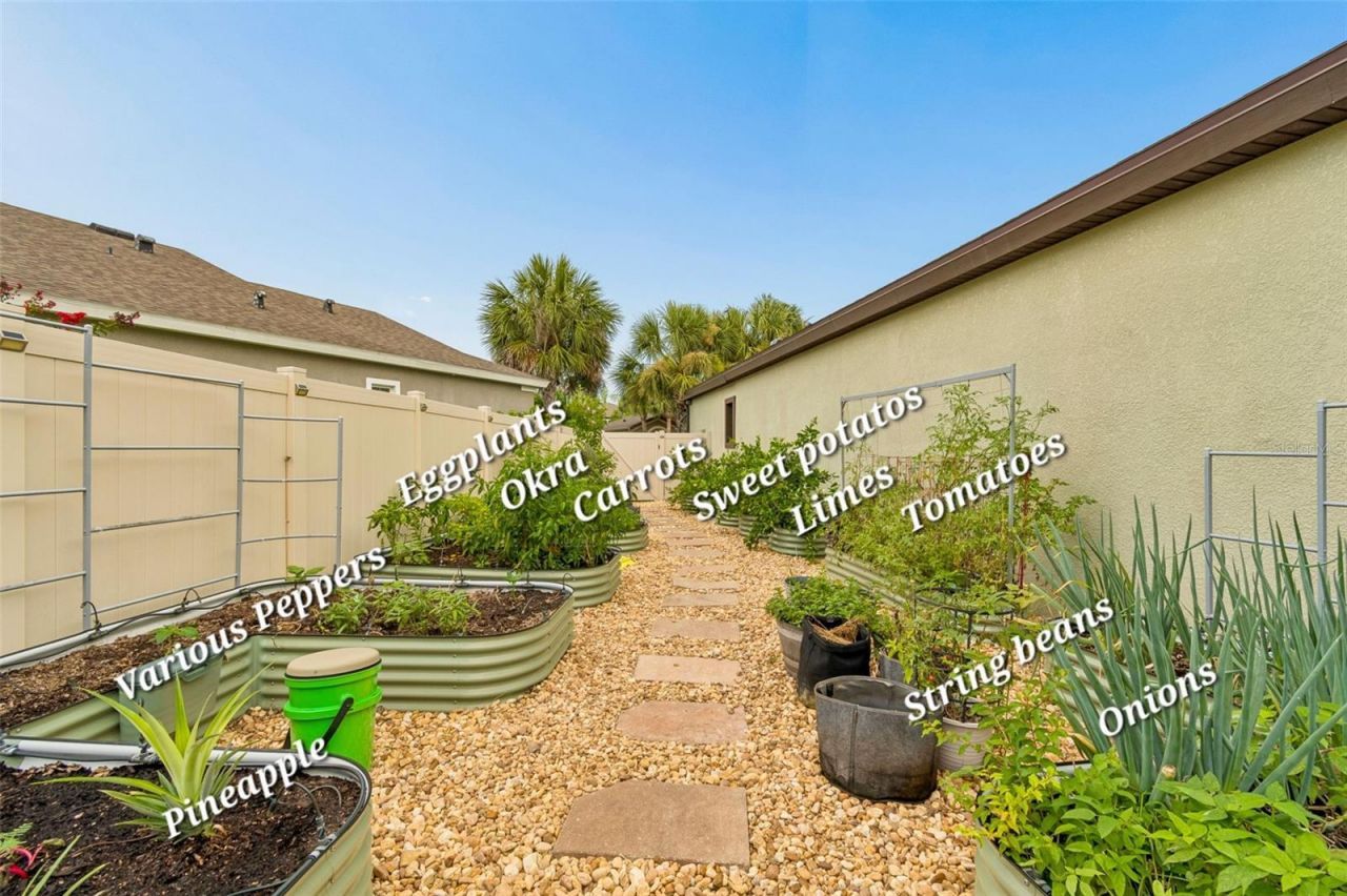 21882 Butterfly Kiss Drive, Land O Lakes, FL 34637 Photo