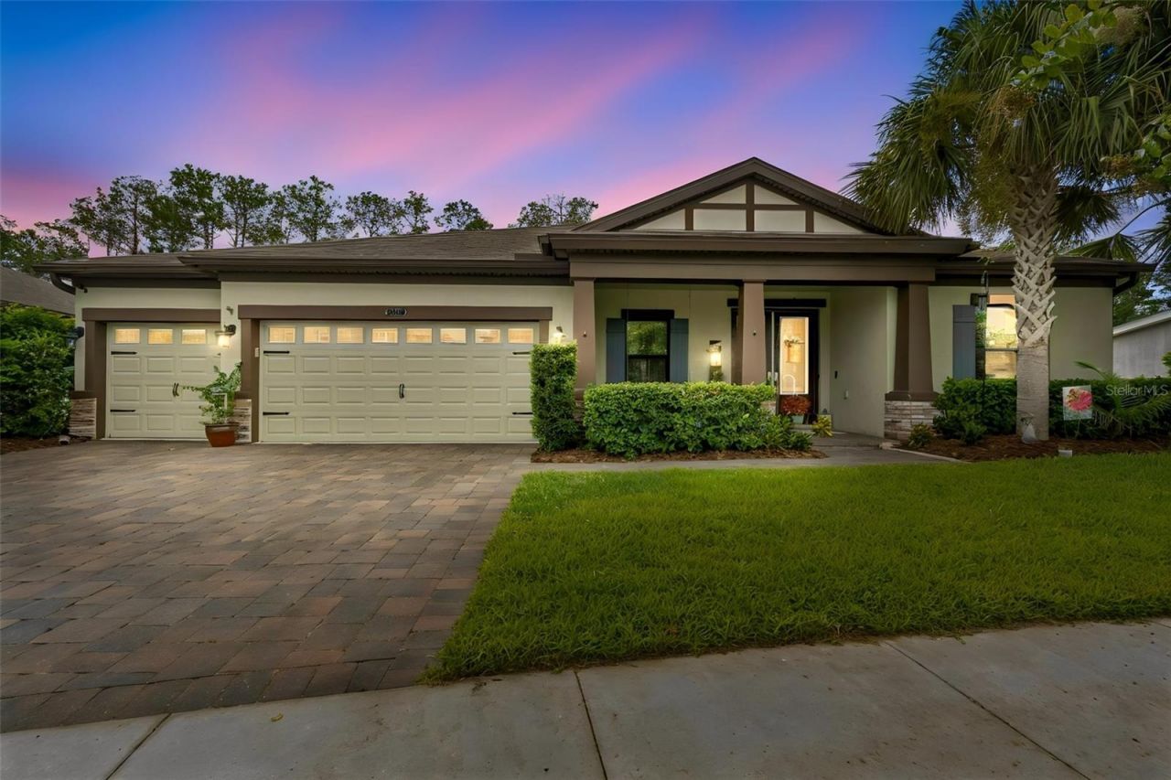 21882 Butterfly Kiss Drive, Land O Lakes, FL 34637 Photo