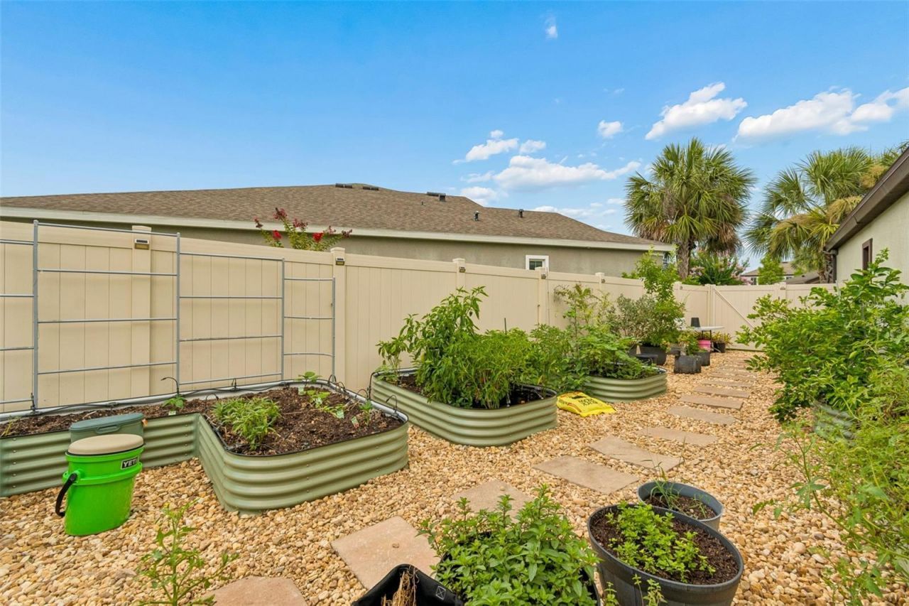 21882 Butterfly Kiss Drive, Land O Lakes, FL 34637 Photo