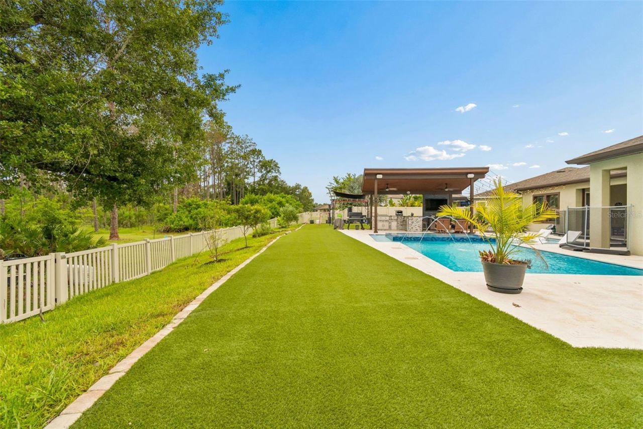 21882 Butterfly Kiss Drive, Land O Lakes, FL 34637 Photo
