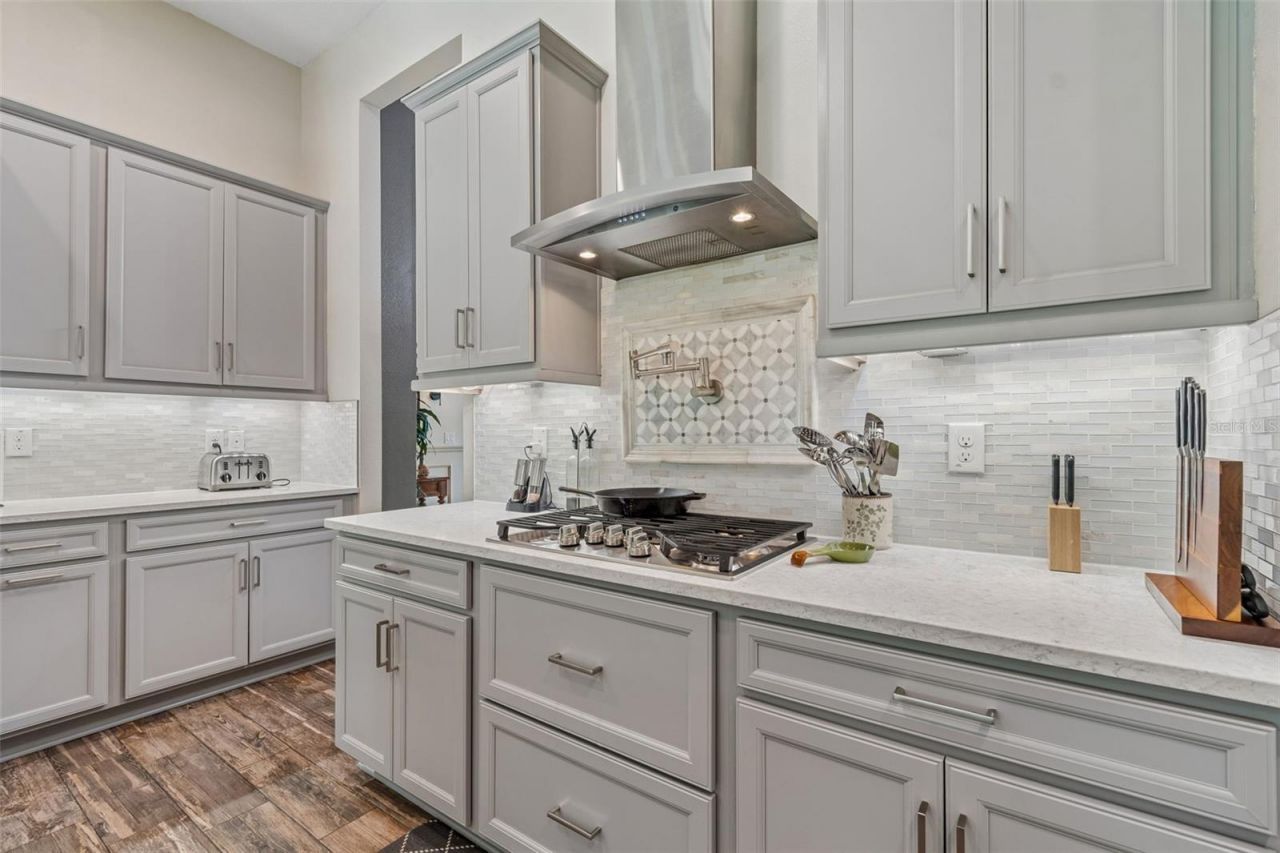 21882 Butterfly Kiss Drive, Land O Lakes, FL 34637 Photo