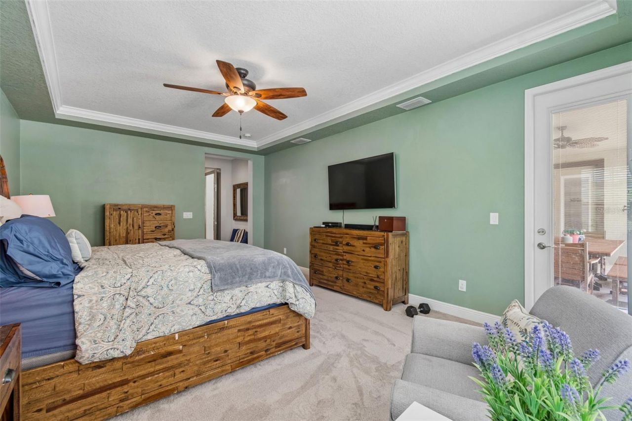 21882 Butterfly Kiss Drive, Land O Lakes, FL 34637 Photo