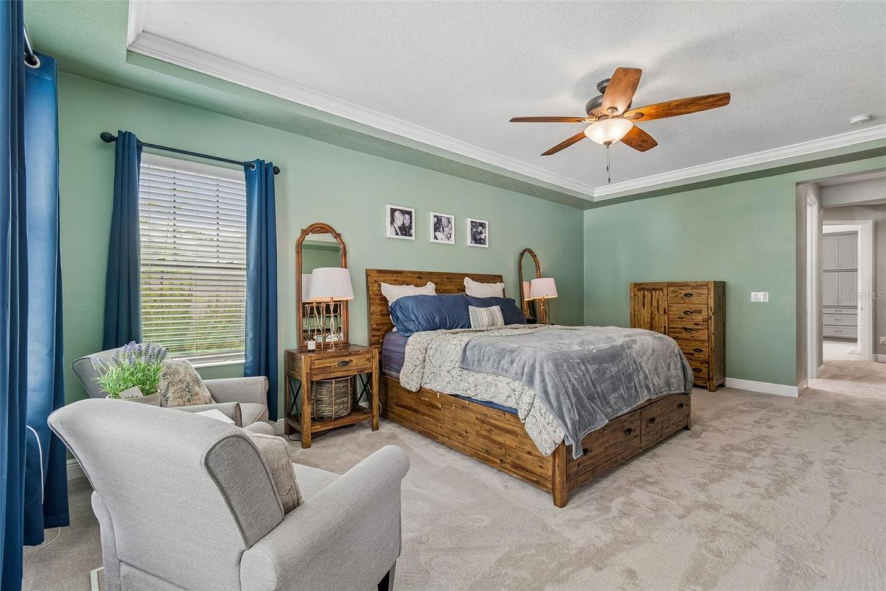 21882 Butterfly Kiss Drive, Land O Lakes, FL 34637 Photo