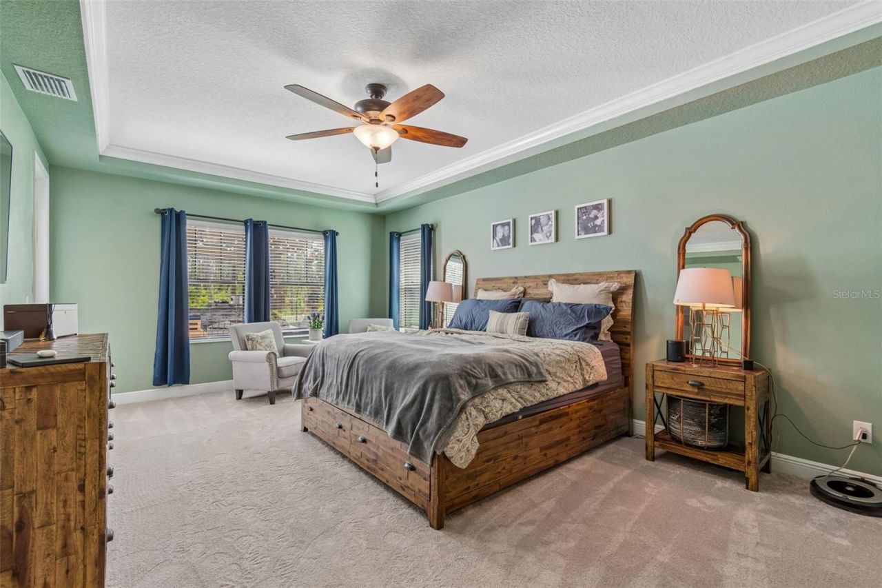 21882 Butterfly Kiss Drive, Land O Lakes, FL 34637 Photo