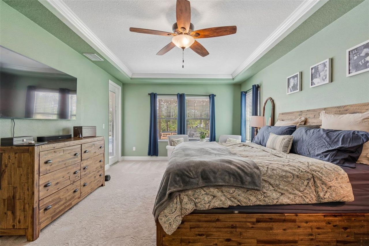 21882 Butterfly Kiss Drive, Land O Lakes, FL 34637 Photo
