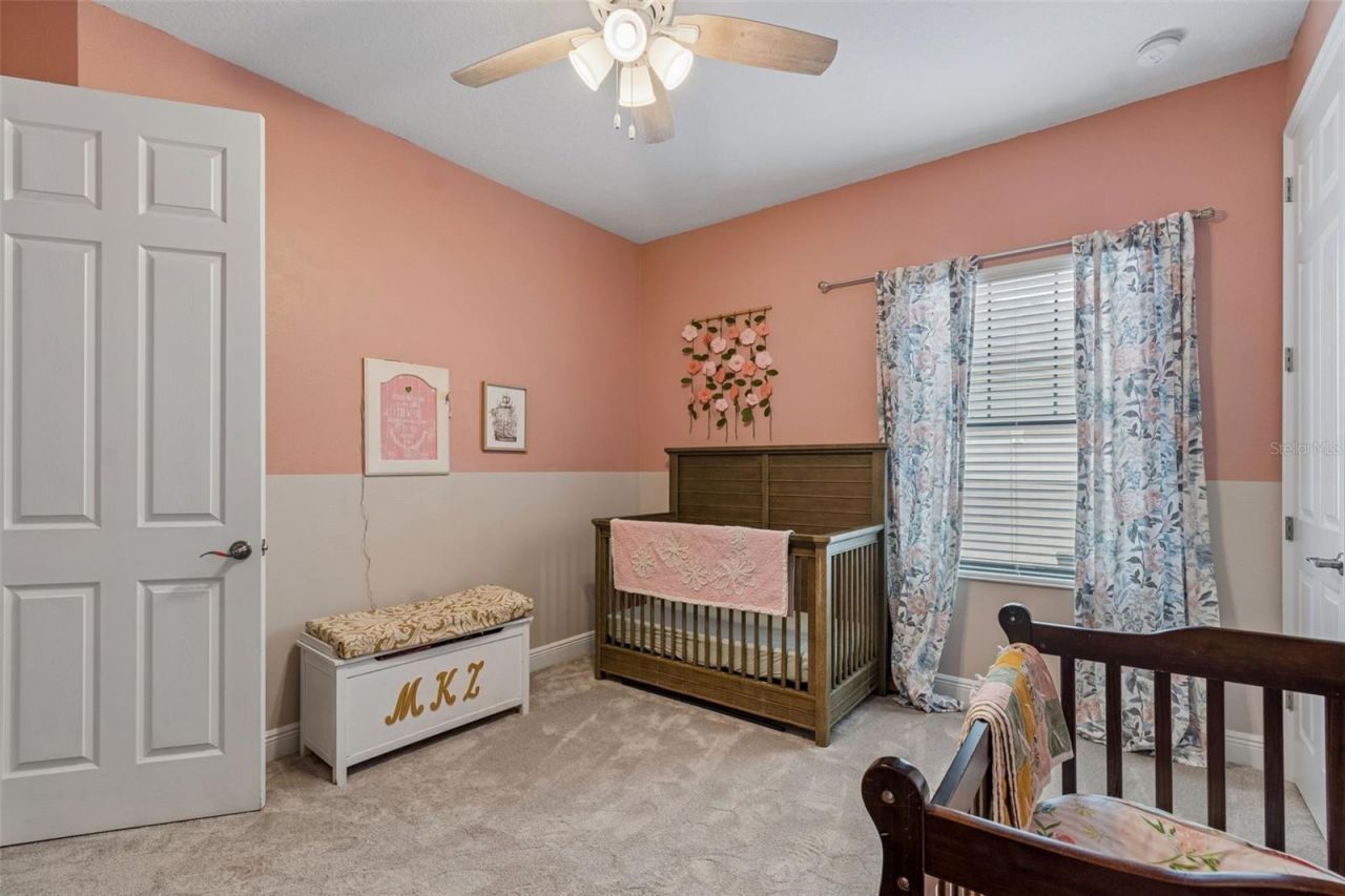 21882 Butterfly Kiss Drive, Land O Lakes, FL 34637 Photo