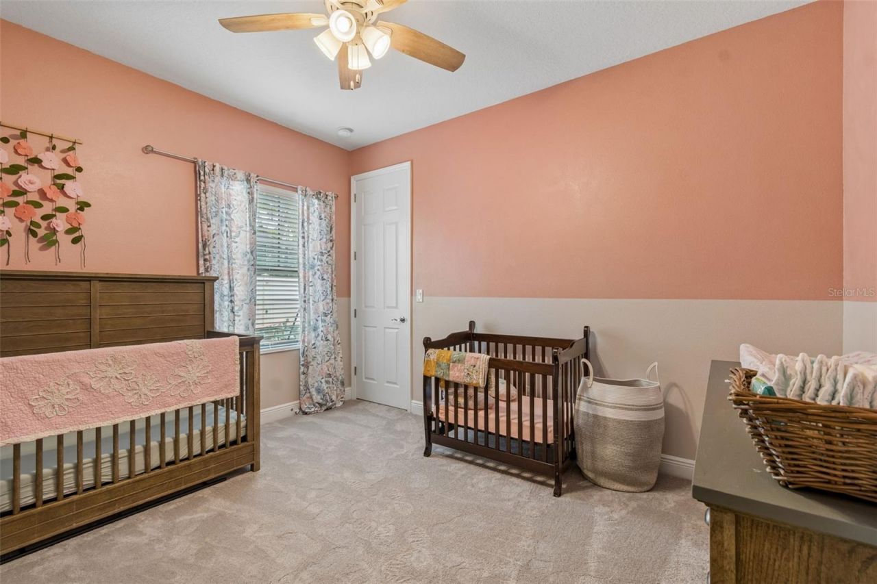 21882 Butterfly Kiss Drive, Land O Lakes, FL 34637 Photo