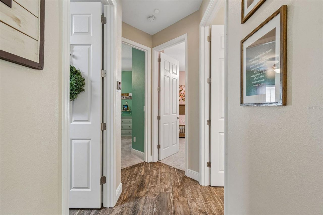 21882 Butterfly Kiss Drive, Land O Lakes, FL 34637 Photo