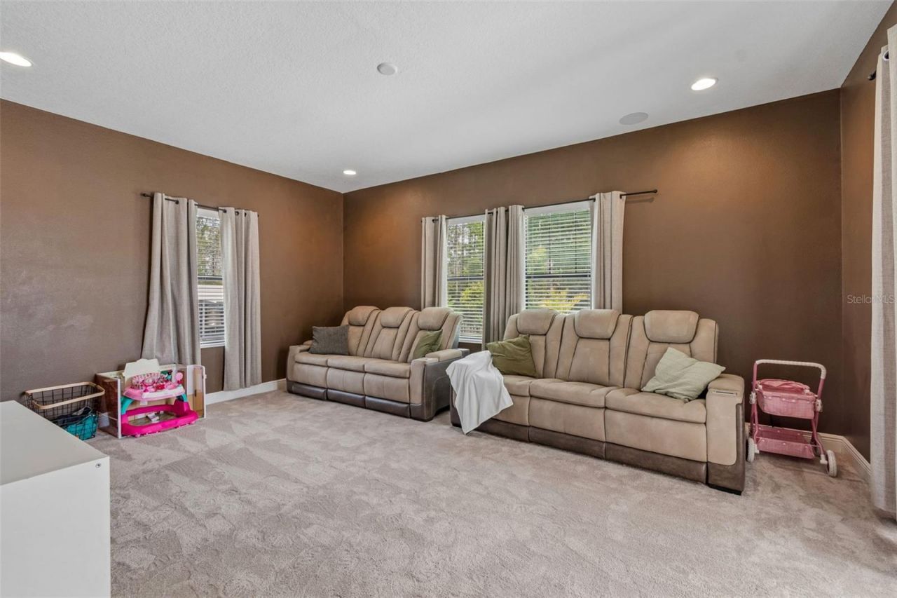 21882 Butterfly Kiss Drive, Land O Lakes, FL 34637 Photo