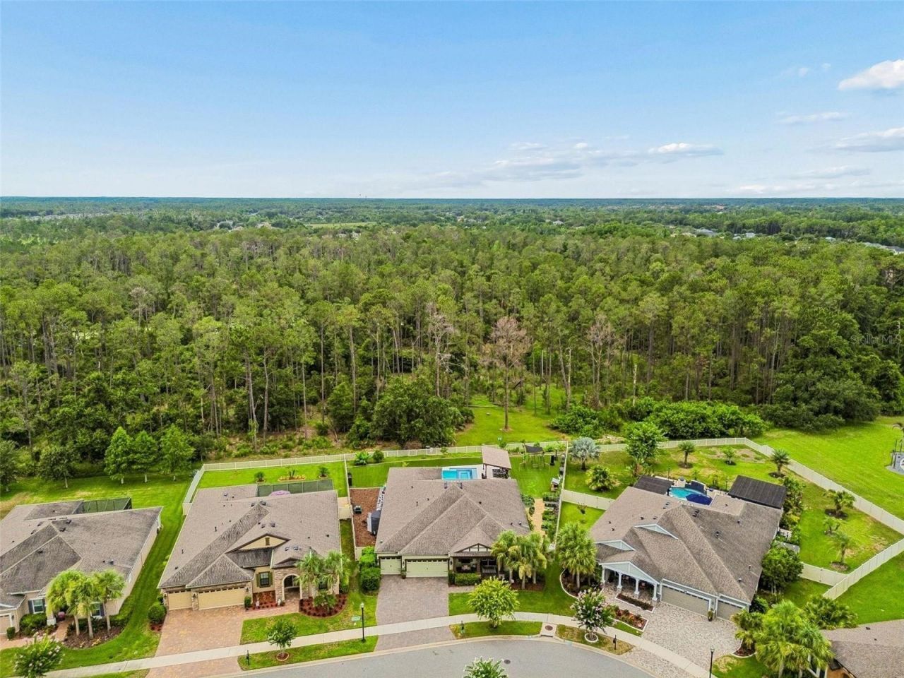 21882 Butterfly Kiss Drive, Land O Lakes, FL 34637 Photo