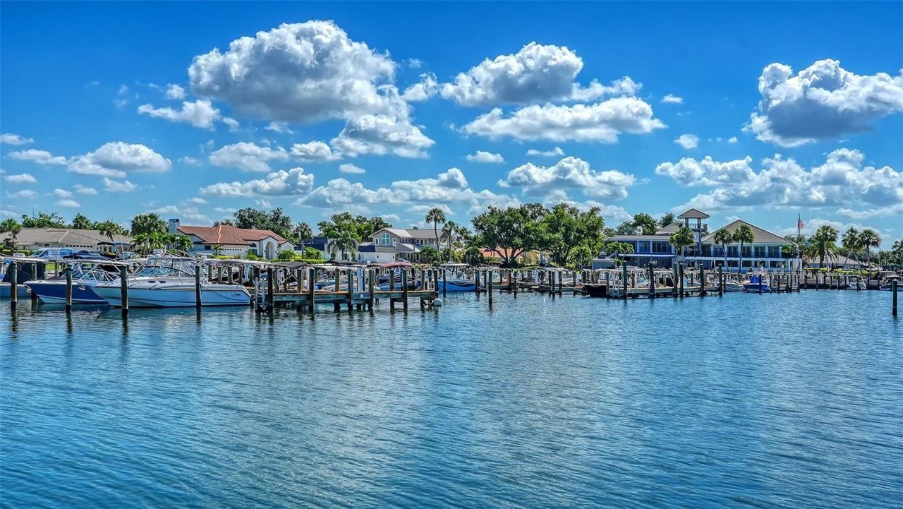 321 Lookout Point Drive, Osprey, FL 34229 Photo