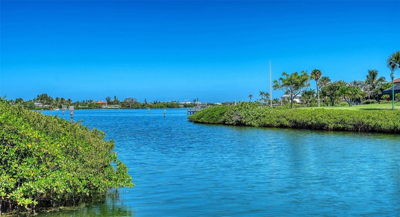 321 Lookout Point Drive, Osprey, FL 34229 Photo