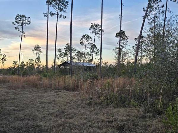 9641 Cr 386 , Wewahitchka, FL 32465