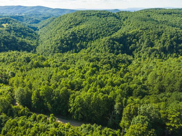 TBD Sawmill Hill RD NW, Willis, VA 24380