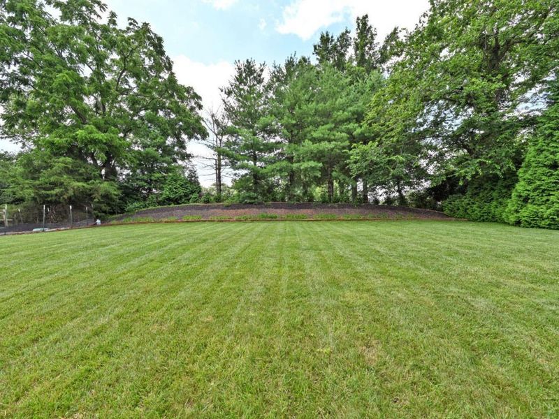 7933 Elbrecht Drive, Montgomery, OH 45242 Photo 81