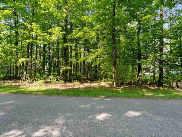 8671 Springridge Drive, Petoskey, MI 49770