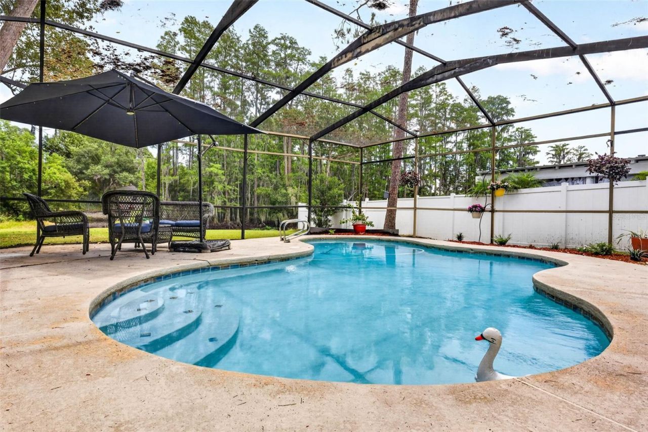 910 Hillside Drive , Lutz, FL 33549 Photo