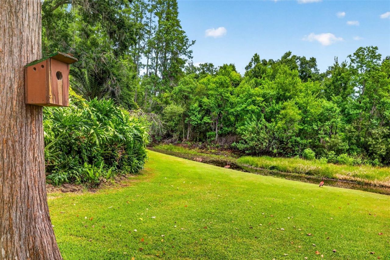 910 Hillside Drive , Lutz, FL 33549 Photo