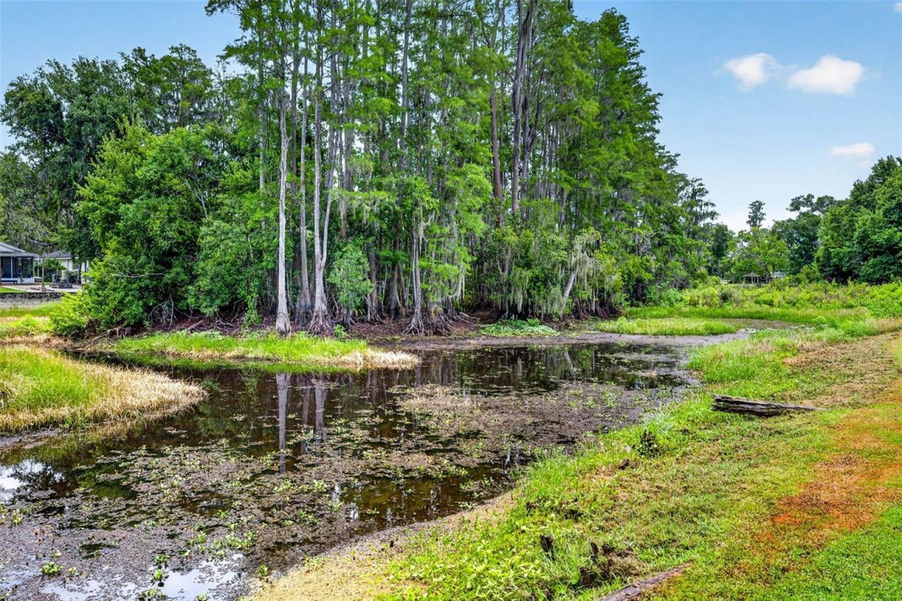 910 Hillside Drive , Lutz, FL 33549 Photo