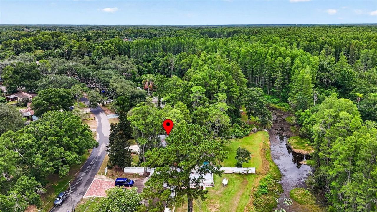 910 Hillside Drive , Lutz, FL 33549 Photo