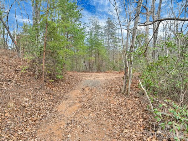 TBD Deep Woods Lane , Saluda, NC 28773