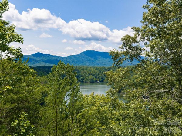 Lot 3 Loggers Pass Lane , Mill Spring, NC 28756
