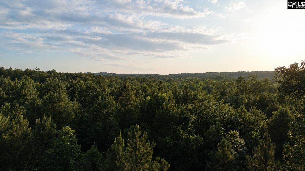 590 Springwood Lane  Photo 11