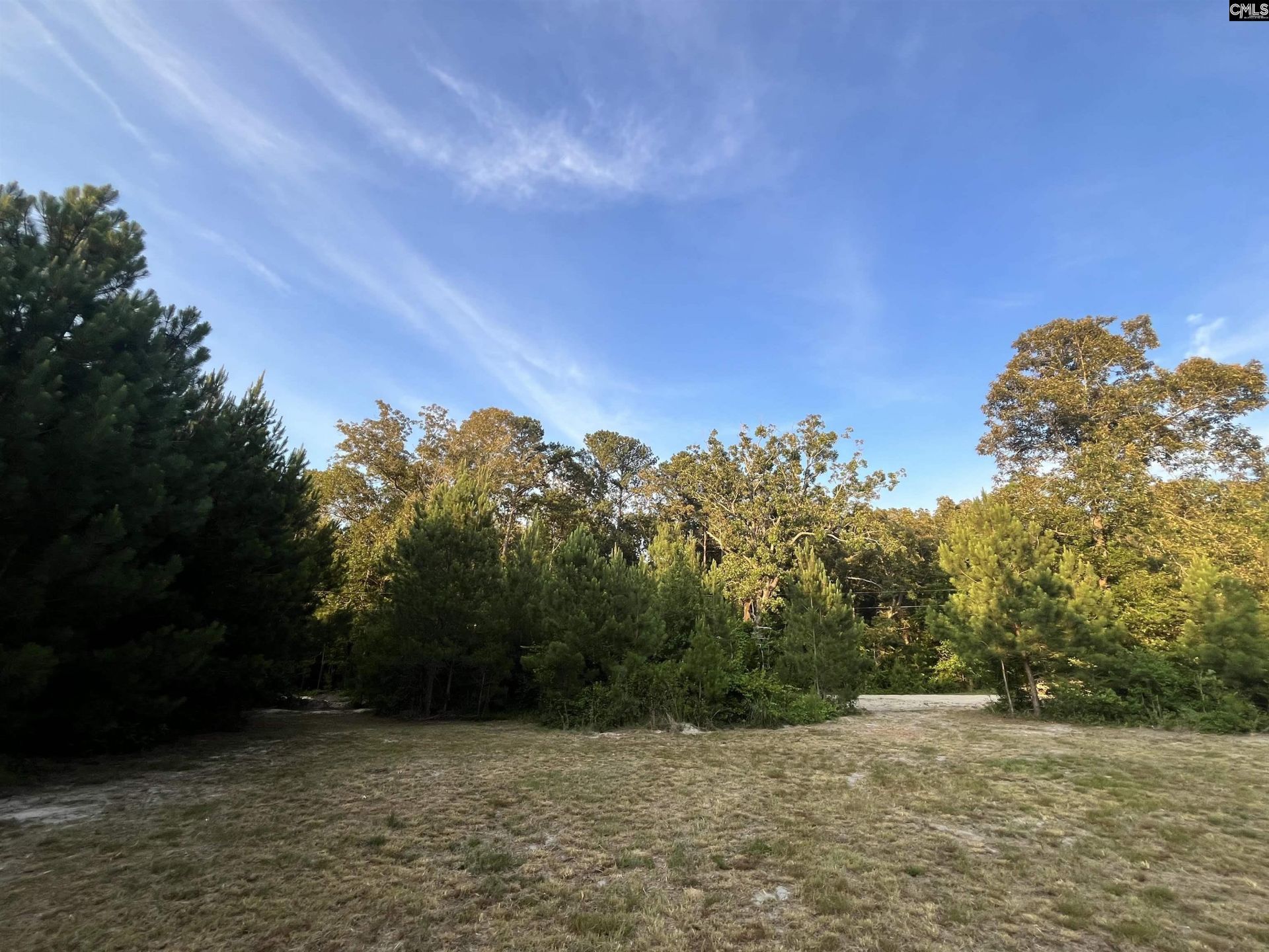 590 Springwood Lane  Photo 14